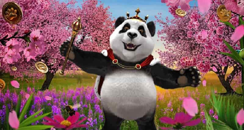 Royal Panda May promotion